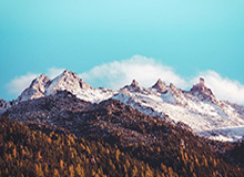 新2管理最新网址-破产成功，凯泽斯劳滕“复活”了！但复兴路漫漫……