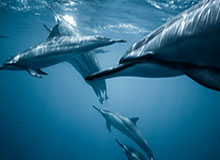 新2网址-国际乒联双打世界杯将于2027年举办